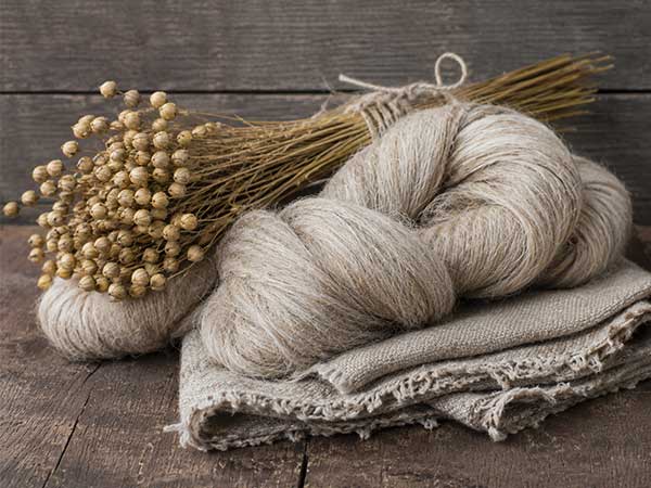 Hard & Bast Fibre Industry