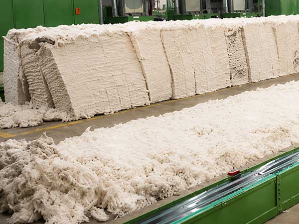 Cotton Preparation